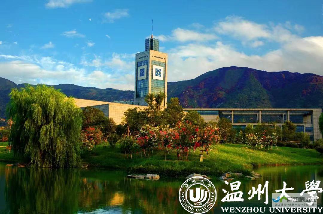 温州专业网站开发：提升品牌形象，拓展市场，助力企业快速发展！