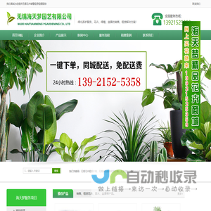 无锡花卉租摆,无锡绿植租赁,无锡花木出租,无锡植物租赁,无锡盆栽绿植 - 无锡海天梦园艺有限公司
